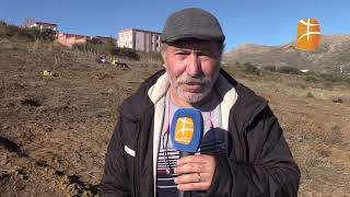 Une campagne de plantation de 2500 plants de cèdre de lAtlas a été lancée à Ayris Ichelladen [upl. by Airret]