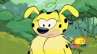 Marsupilami Malayalam Cartoon😁😁 Kochu tv 📺 cartoon malayalam animal cartoonforkids [upl. by Solracsiul539]