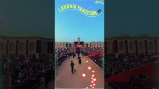 Karbala imam Hussain a s 🌹💞♥️ viralKarbalashorts video [upl. by Kaylyn]