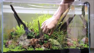 coller mousse aquarium sous leau [upl. by Anirtek]