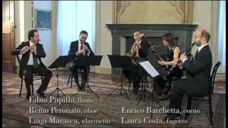 Ensemble Musagète Briccialdi Quintetto a fiati op 124 [upl. by Notaek]