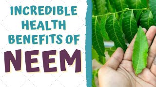 HEALTH BENEFITS OF NEEM [upl. by Orford]