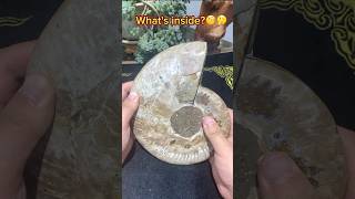 Whats inside🧐 crystals fossil [upl. by Kathy]