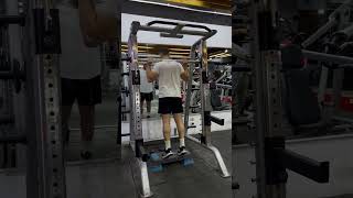 Calf raises smith machine [upl. by Mccully730]