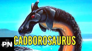 CADBOROSAURUS  Cryptid Campfire Video Podcast [upl. by Tnaryb]