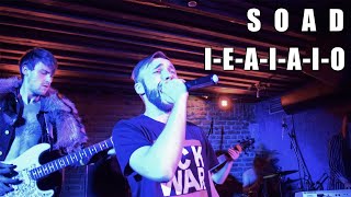 System Of A Down  IEAIAIO Live Cover [upl. by Dorcy242]