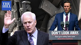 Is Bipartisan Gun Reform Within Reach [upl. by Gaylor739]