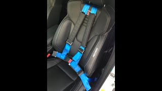 Focus St Schroth Harness Install [upl. by Varien]