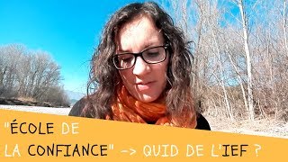 Loi quotEcole de la confiancequot  quelles CONSÉQUENCES pour lIEF [upl. by Kitarp]