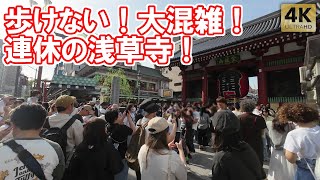 歩けない！連休大混雑の浅草寺！ TokyoAsakusa Sensoji Temple 環境音 ゴールデンウィーク 雷門 [upl. by Ahsirtap]