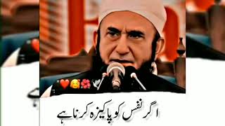 molana Tariq Jameel new bayan 2024  nafs ko pakeza karna hai  molana Tariq Jameel Urdu bayan [upl. by Adiraf46]