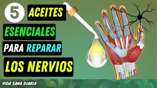 Cómo Reparar Tus Nervios con Aceites Esenciales Guía Paso a Paso Rápido y Fácil [upl. by Edras]