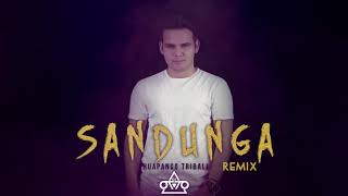 Sandunga  Dj Otto Huapango Tribal 2019 remix [upl. by Eterg666]