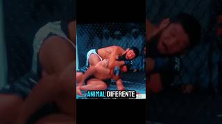 Khamzat Chimaev vs Robert Whittaker 🤯 khamzatchimaev ufc mma [upl. by Naesal]