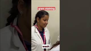 gram staining 🤩🤓  microbiology mbbs neet [upl. by Nnylatsirk]