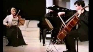 Albinonis Adagio performed by Zivkovic Trio [upl. by Rankin]