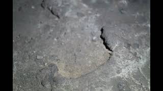 Malheur Cave video 1 part 2 6k [upl. by Monteria]