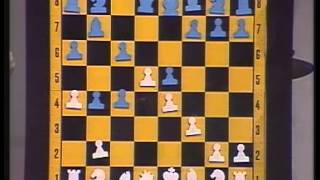 Schach der Großmeister 1984 [upl. by Phi773]