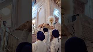 Sukhasan Shri Granth Sahib Harmandir Sahib Golden temple Amritsar shorts viralshorts [upl. by Naashar]