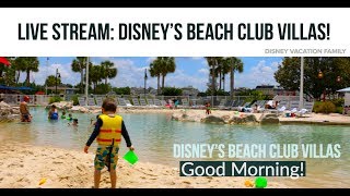 Disney’s Stormalong Bay  Beach Club Villas  Good Morning  Live Stream [upl. by Etnemelc]