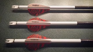 Arrow Performance  Thin Diameter Parallel Arrows vs Tapered Arrows  GrizzlyStik [upl. by Mehalick]