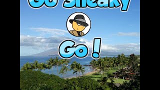 Go Sneaky Go Walkthrough [upl. by Gilbert]