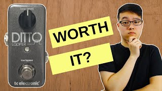 TC Electronic Ditto Looper Review Watch This Before You Buy [upl. by Chemar789]