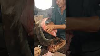 আজকে শঙ্কর মাছ নিলাম 300 টাকা কেজি yutubeshorts stingray fishcutting fishmarket [upl. by Bushey571]