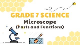 Microscope Parts and Functions  Grade 7 Science DepEd MELC Quarter 2 Module 1 [upl. by Htebzile]