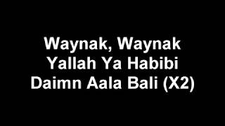 Adam Saleh  Waynak ft Faydee lyric [upl. by Elephus781]