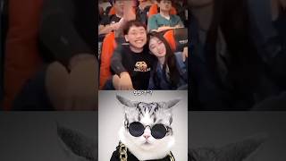 99×1 cat shortvideo duet duet cat facts [upl. by Quillon897]