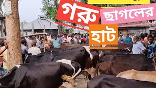 রামচন্দ্রপুর গরুর হাট। সারিয়াকান্দি। Bangladeshi Village Cow Market SARIAKANDI Bogura [upl. by Hurwit15]