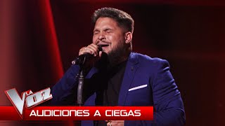 Salvador Rodríguez canta quotNuestros sueñosquot  Audiciones a Ciegas  La Voz Antena 3 2024 [upl. by Nolte957]