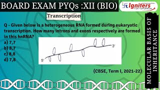 Given below is a heterogeneous RNA formed during eukaryotic transcription How many introns and e [upl. by Jeuz823]