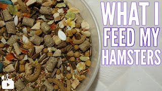 WHAT I FEED MY HAMSTERS 2017 [upl. by Mcroberts821]