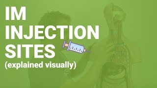 HOW TO GIVE IM INJECTIONS  sites considerations nursing care for nurses [upl. by Isador]