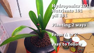 5 Gallons Bucket Hydroponic  Nutrients 101 From A to Z very easy [upl. by Hanako]