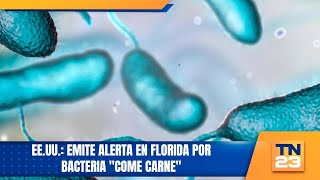 EEUU Emiten alerta en Florida por bacteria come carne [upl. by Suhcnip]