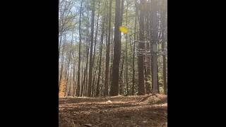 Disc Golf Frustrations Near Miss of a Hole in One [upl. by Aihgn]