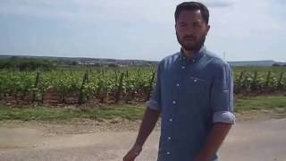 Benoit Riffault in Puligny Montrachet Les Combettes [upl. by Marylou918]