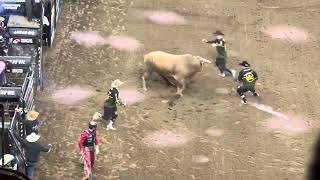 PBR Unleash the Beast professional bull riding Madison Square Gardens 152024￼ [upl. by Petrick]