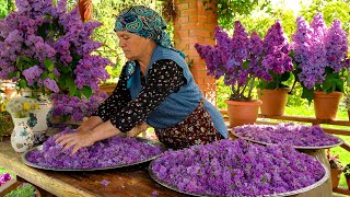 Fresh Spring Lilacs Picking How to Preserve the Scent of Spring 🌿 [upl. by Niffirg]