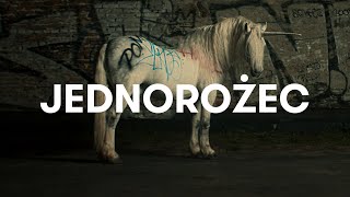 Sokół  Jednorożec Official Video [upl. by Neveda851]