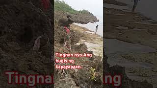 Rock formation in the island of Cebu music beach travel tropicaldestinations [upl. by Horwitz328]