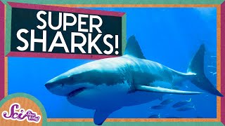 Super Sharks  Amazing Animals  SciShow Kids [upl. by Ardella]