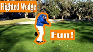 Flighted Wedge Fun [upl. by Navar]