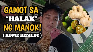 GAMOT SA HALAK NG MANOK  Home Remedy  Paragmanoktv [upl. by Mccallion]