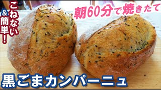 ぱっくりクープのコツとは？外はカリッと中はもっちりふんわり！夜仕込んで朝１時間で焼きたて！【黒ごまカンパーニュの作り方】No knead amp easy Black Sesame Campagne [upl. by Neyud530]