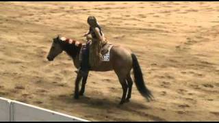 Bridleless Freestyle Reining [upl. by Galatea87]