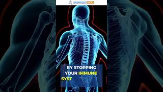 Say Goodbye to Inflammation with Hydroxychloroquine or Plaquenil [upl. by Ocimad]